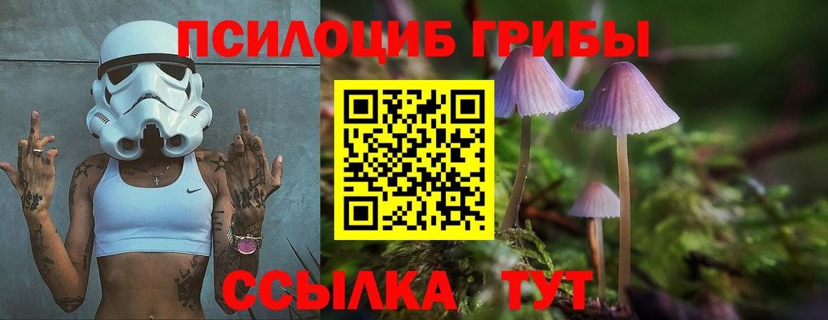 Псилоцибиновые грибы мицелий  Псилоцибиновые грибы мухоморы  Вход с VPN  Ярцево 