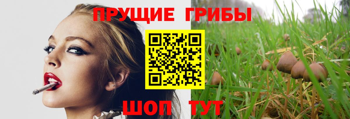 Псилоцибиновые грибы GOLDEN TEACHER Ярцево